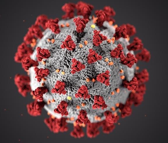 COVID virus depicted as sphere with red spikes 